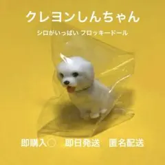 即購入◎ - クレヨンしんちゃん シロ フロッキードール 新品未使用