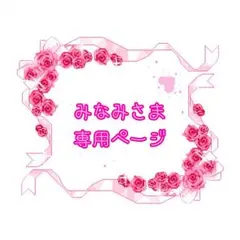 ♡みなみさま 専用ページ♡
