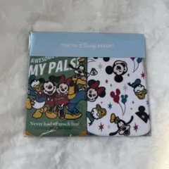 東京ディズニーリゾート スタイ2枚セット