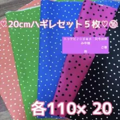 トッケビ♪☆彡★彡　只今お休み中様ご専用 20cm ハギレ５枚セット⑯