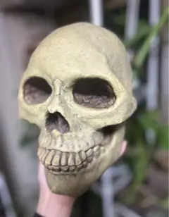 1999年製のレトロなスカル貯金箱 1950'S〜 SKULL BANK ヴィンテージ陶器製スカル骸骨貯金箱5