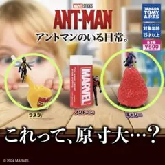 アントマンのいる日常。 ワスプ　キャシー　2種セット
