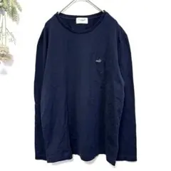 Item thumbnail for item 21f3a3e7-be1a-427b-9df4-16c87ae4e574