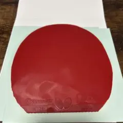 ディグニクス09c 赤　特厚