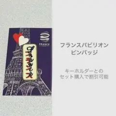 p*d様 フランス　万博　ピンバッジセット US-075-1-335x335.jpg