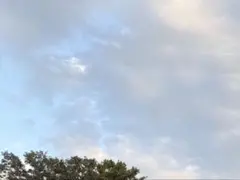 専用です