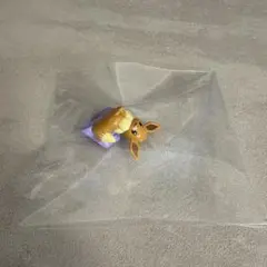 びっくらたまご　ポケモン　メタモンといっしょ　イーブイ