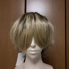 2026年最新】ラギー ウィッグの人気アイテム - メルカリ