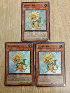 遊戯王　英語版　DANDYLION ダンディライオン3枚セット