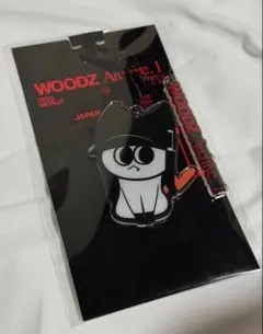 2026年最新】Woodz キーリングの人気アイテム - メルカリ