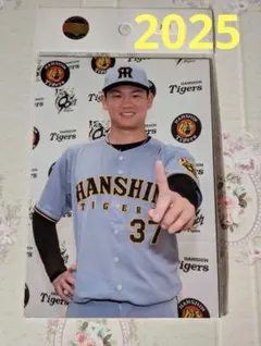 BBM 2021 阪神タイガース 新品未開封カートン 21 【掛布雅之】2021 BBM 阪神タイガースヒストリー 1935-2021