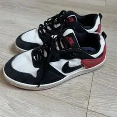 Nike SB スニーカー ブラック/ホワイト/レッド　23cm