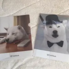 ソフトバンク お父さん クリアファイル