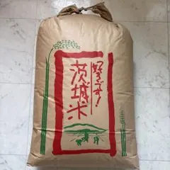 令和7年産 茨城県産 玄米 ミルキークイーン 検査１等30kgのサムネイル