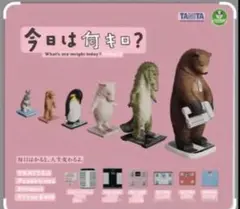 今日は何キロ？ カプセルトイ 全5種類