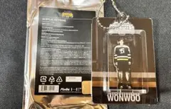 セブチ HOME ウォヌ WONWOO アクリルキーリング
