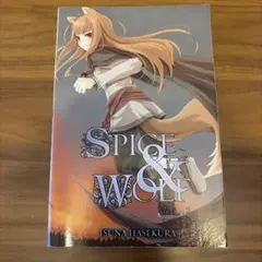 藤原紀香 SPY_N/NORIKA FUJIWARA BOX 香港 2枚組 - メルカリ