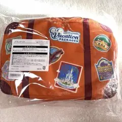東京ディズニーリゾート　バケーションパッケージ　非売品　ブランケット