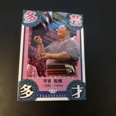 Item thumbnail for item c6b2b4ea-c814-4170-bf06-52a3ff4e588b