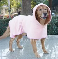 Item thumbnail for item 9b3bbe3d-9383-43fd-b949-dfe67c3f9680