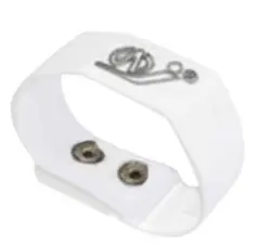 Item thumbnail for item 1504e326-a300-41d0-9a5c-28ede8a8d2f0