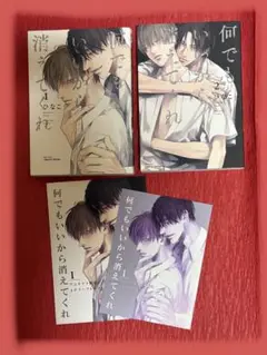 何でもいいから消えてくれ　1・2 ひなこ　アニメイト　コミコミ　女性漫画　BL