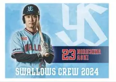 青木宣親 東京ヤクルトスワローズ レジャーシート 2024 crew