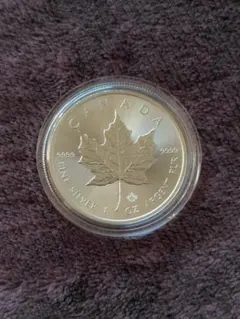 2026年最新】メイプル銀貨の人気アイテム - メルカリ