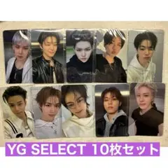 TREASURE LOVEPLUSE YGSELECT 10枚セット