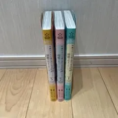 Item thumbnail for item 487228e8-2235-4650-8d25-14bc219eed9d