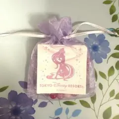 ディズニー　ラプンツェル天然石ブレスレット