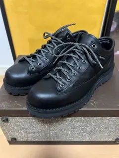 DANNER/FIELD LOW D121008 フィールドロウ　ダナーのサムネイル