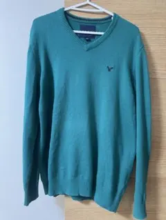 American Eagle Vネック ニット セーター グリーン Lのサムネイル