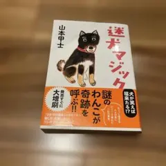 迷犬マジック