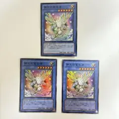 神光の宣告者　スーパー　3枚セット