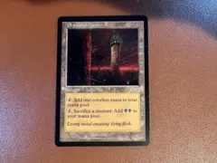 んべ様 リクエスト 2点 まとめ商品