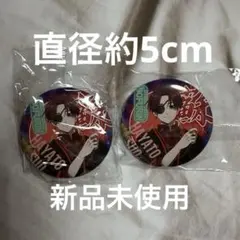 ウィンドブレーカー サイバーチャイナ 蘇枋隼飛 缶バッチ 2つセット