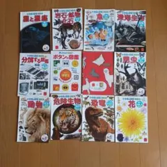 小学館の図鑑NEO ハッピーセット 12冊セット