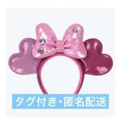 新品未使用 ミニー パルパルーザ ファンダーランド