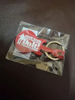 矢沢永吉 ミュージシャン