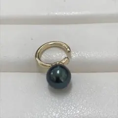 Item thumbnail for item 189ddf21-6a3b-4ed7-bed8-7278e3f81a1f