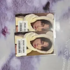 &team ふわふわアニマルフォトカード タキ TAKI