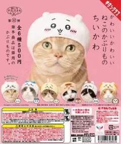 ちいかわ ねこのかぶりもの 5点コンプリートセット