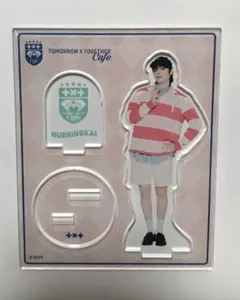 txt カフェ　ヒュニンカイ　アクスタ