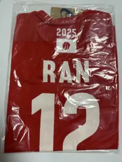 男子バレーボール日本代表応援Tシャツ2025 髙橋藍選手 ハンドタオル