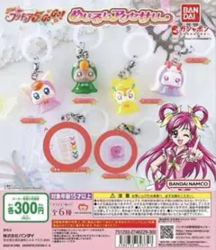 めじるしアクセサリー Yes！プリキュア5GoGo！ キュアモ ローズパクト