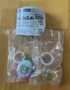 たまごっち めじるしアクセサリー　 たまごっちパラダイス ポチっち