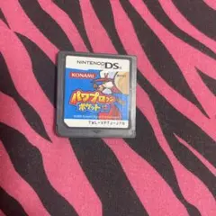 DSパワプロクンポケット12
