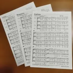 混声合唱 Hugo Wolf 合唱譜 3ページセット