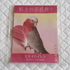 토치기야 코보 클레이 깃털 장식, 리틀 버드, 화이트, 앵무새, 미사용